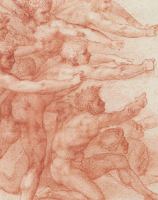 Michelangelo : divine draftsman & designer /