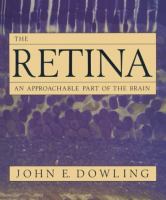 The retina : an approachable part of the brain /