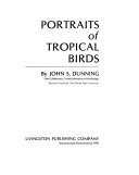 Portraits of tropical birds,
