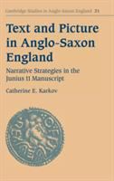 Text and picture in Anglo-Saxon England : narrative strategies in the Junius 11 manuscript /