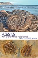 Fossils : a photographic field guide /