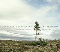 The oldest living things in the world /