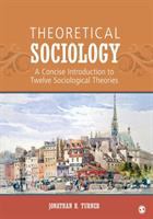 Theoretical sociology : a concise introduction to twelve sociological theories /