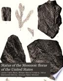 Status of the Mesozoic floras of the United States: second paper,